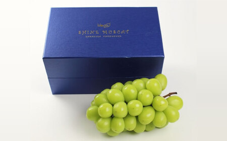 シャインマスカット 2房 bloom leaf シャインマスカット BKBI001