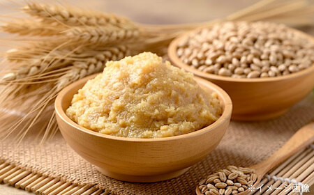 おふくみそ（麦みそ）6個セット（1kg×6袋） BKAA002