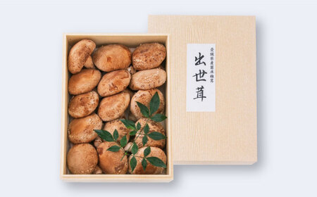 生しいたけ 15枚入 BKAY014