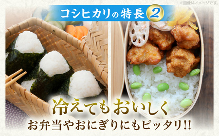 令和7年産 コシヒカリ 計10kg_DB44-25