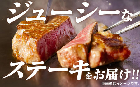 佐賀牛ヒレステーキ 800g /愛まんてん [UBD005] ステーキ
