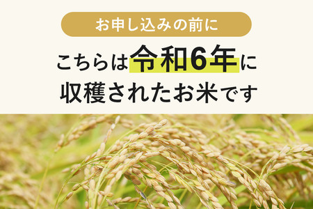 《1回のみお届け》令和7年産 【無洗米】通算5回特A 秋田県産ひとめぼれ 10kg(5kg×2袋) 配送時期選べる お米 米 こめ 藤岡農産