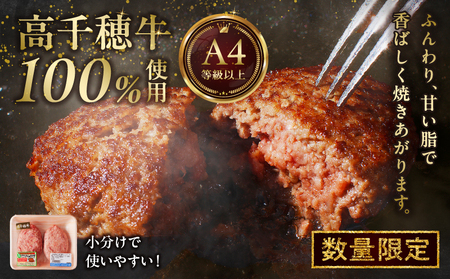 宮崎県産黒毛和牛A4等級以上 高千穂牛 100％使用！ 肉汁あふれる手作り ハンバーグ 合計10個 2個入×5パック 計1.3kg 高千穂牛 高千穂牛ハンバーグ 和牛ハンバーグ 人気 ロングセラー 牛肉100％ 和牛 牛 牛肉 肉 普段使い パック 冷凍 惣菜 お惣菜 贈答 贈り物 パーティー BBQ お弁当 おかず 料理 簡単調理 プレゼント 手作り _Tk002-061