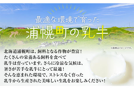  森永北海道3.6牛乳 1000ml×12本入り 　牛乳