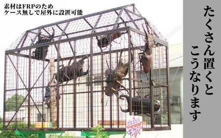 ミヤマ クワガタ 大型 リアル 模型 クワガタ 昆虫 おもちゃ 飾り（透明ケース付）