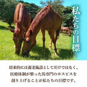 引退馬 余生支援 1,000円コース 返礼品なし 養老馬 競走馬 引退競走馬 馬支援 競馬 馬 うま ウマ 馬支援 動物 あしずりダディー牧場 高知県 土佐清水市【R01528】