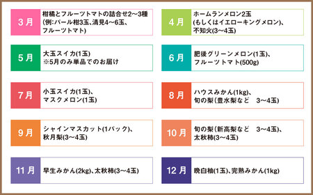 【6か月連続定期便】熊本便り！旬のフルーツ詰め合わせ定期便 ｜ くだもの 果物 フルーツ 旬 いちご 柑橘 みかん メロン すいか シャインマスカット 梨 熊本県