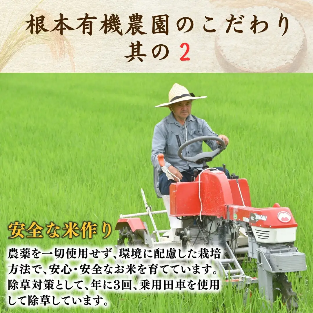 JAS有機米 コシヒカリ 天のつぶ 白米 10キロ (5kg×2種) | 令和7年産 根本有機農園