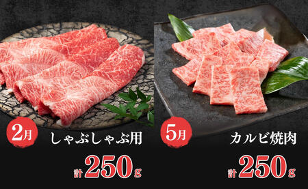 【口コミの良いお肉を集めました♪】人気品を厳選！お手軽 佐賀牛定期便 通年4回【有田まちづくり公社】佐賀牛 牛肉 黒毛和牛 極上の佐賀牛 厳選 お肉 おにく ローストビーフ カルビ焼肉 しゃぶしゃぶ すき焼き 4回 定期便 ギフト 贈答 贈り物 60000円 6万円 N60-13