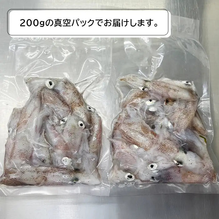 淡路島産ヒイカ 1キロ イカ