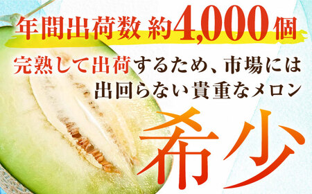 【先行予約】【数量限定50セット】よこすか潮風メロン 大玉4L 2玉セット 計約3kg 【井上農園】 [AKDJ001]