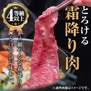 isa446 鹿児島県産黒毛和牛スライス(4等級以上) (合計700g・350g×2種) 国産 肉 牛肉 霜降り すきやき しゃぶしゃぶ 牛しゃぶ 冷凍 ロース カタロース 肩ロース 食べ比べ セット 【サンキョーミート株式会社】