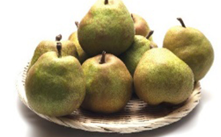 ≪2026年先行予約≫ 山形県産 ラ・フランス 3kg なし ナシ 梨 デザート フルーツ 果物 くだもの 果実 食品 山形県 FSY-2693