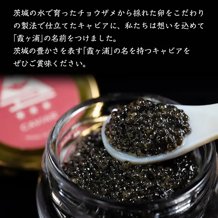 霞ヶ浦キャビア 20g×1  高級食材 記念日 誕生日 世界三大珍味 キャビア 国産キャビア 茨城県産 [AI014sa]