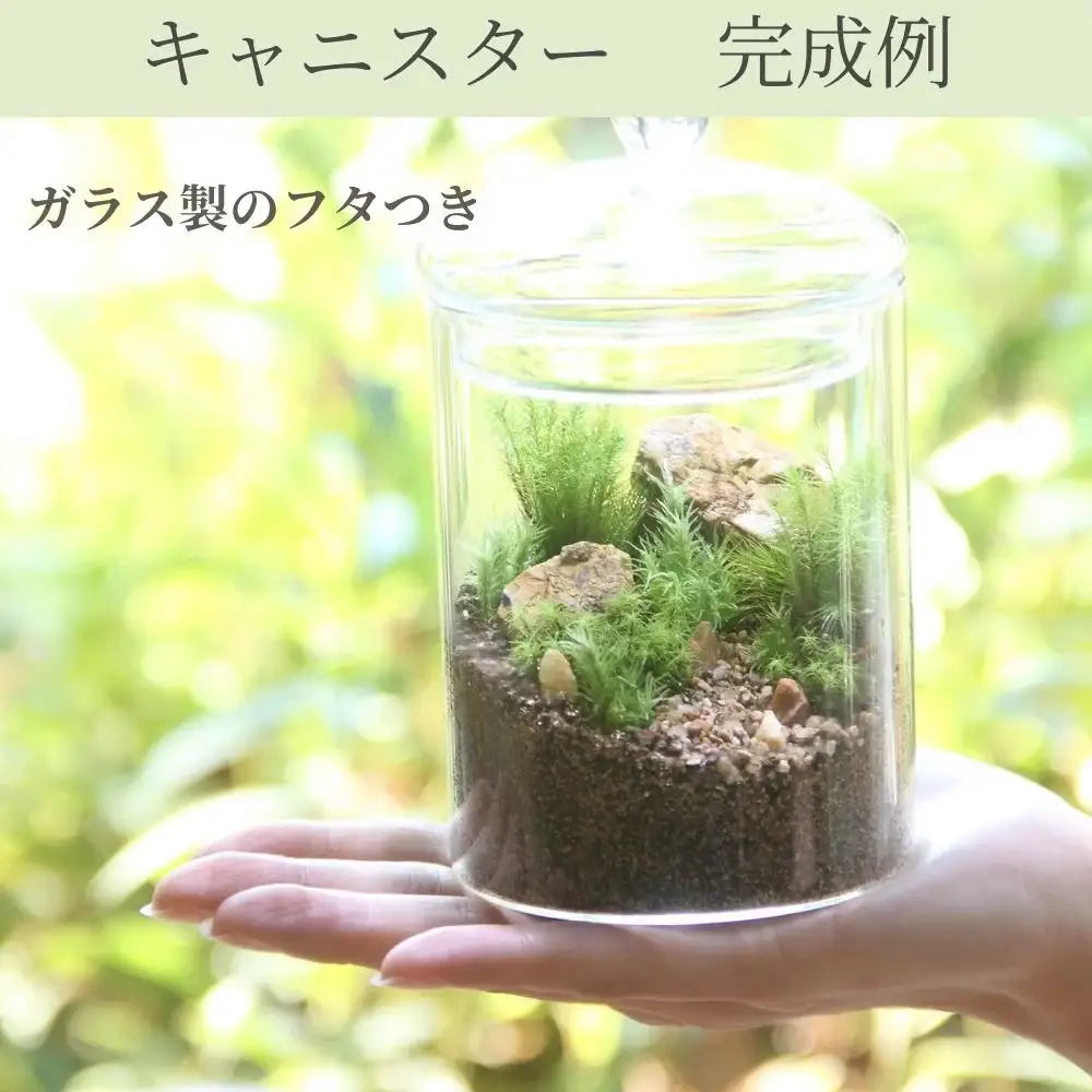 苔テラリウムスターターキット　キャニスタータイプ（ツール付き）