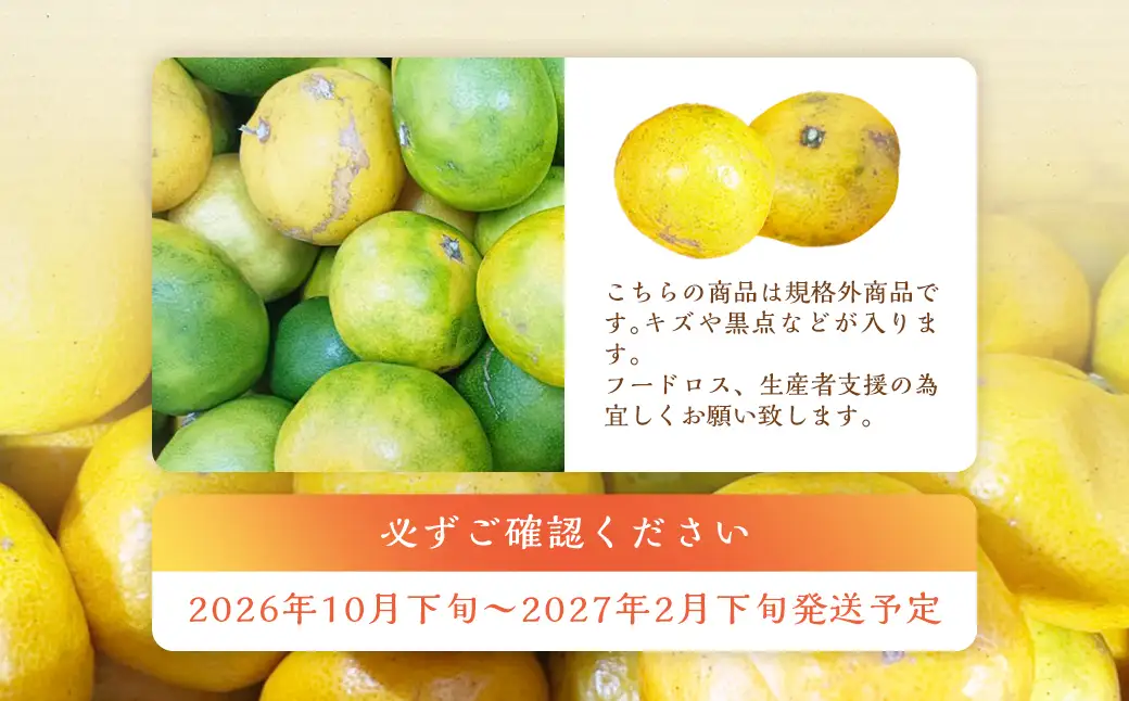 【規格外品】 熊本市産 みかん ご家庭用 15kg 不揃い 蜜柑 ミカン フルーツ 果物 くだもの 柑橘 熊本産 九州産【2026年10月下旬～2027年2月下旬迄発送予定】
