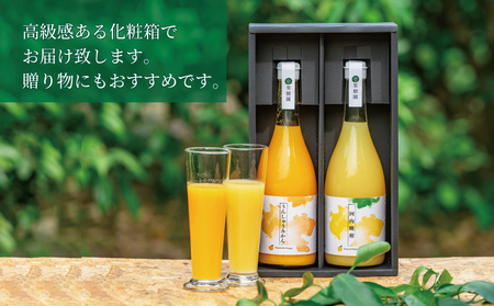 ストレートジュース 愛媛 の 柑橘ジュース 720ml × 2本 セット 壱果樹園 河内晩柑 温州みかん みかんジュース みかん 蜜柑 mikan フルーツ ジュース 果汁 100% 飲料 ギフト 贈答用 果物 くだもの 国産 愛媛 宇和島 H015-141002