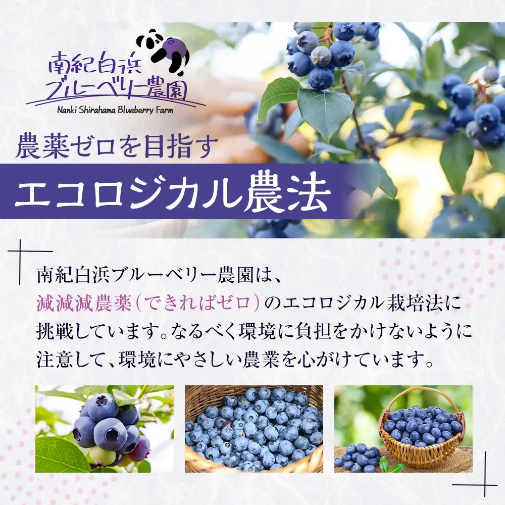 南紀白浜産ブルーベリー 約400g