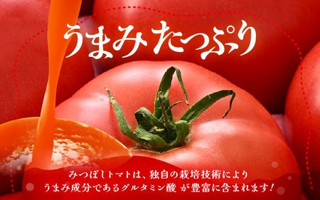 【先行予約】みつぼしトマト☆自然がくれた真っ赤なギフト 約1kg 【2026年5月上旬以降順次発送予定】【とまと トマト 野菜 生野菜 新鮮 産地直送 贈答 ギフト 国産】 [A-2608]