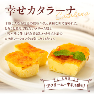 北海道産の放牧牛乳がおいしさの秘密！幸せカタラーナ（10個） | スイーツ カタラーナ アイス プリン 北海道 札幌市