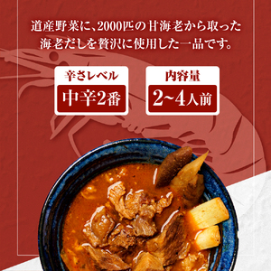 みんなで美人！奥芝商店 コラーゲン牛すじスープカレー【550g×2個／2~4人前入り】　北海道 レトルト 人気 札幌