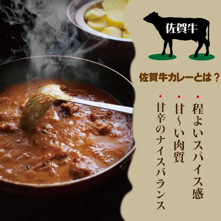 佐賀牛カレー（５箱セット） カレー 牛肉 レトルト B110-046