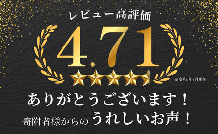 佐賀牛しゃぶしゃぶ肉 560g（280g×2パック）【やわらかく、程よいサシの入った最高級のブランド牛】 厳選 黒毛和牛 しゃぶしゃぶ 特選黒毛和牛 極上の佐賀牛 560グラム 佐賀牛のしゃぶしゃぶ 霜降り N24-3
