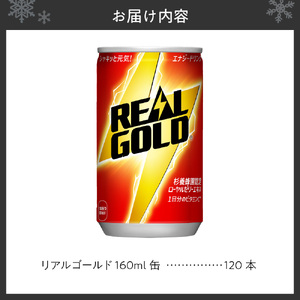 リアルゴールド 160ml缶×120本 【札幌市の魅力】 エナジードリンク  炭酸飲料