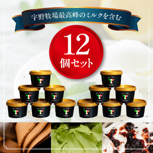 幸せな牛のミルクからできたジェラート パティシエおまかせ12個セット アイス 
