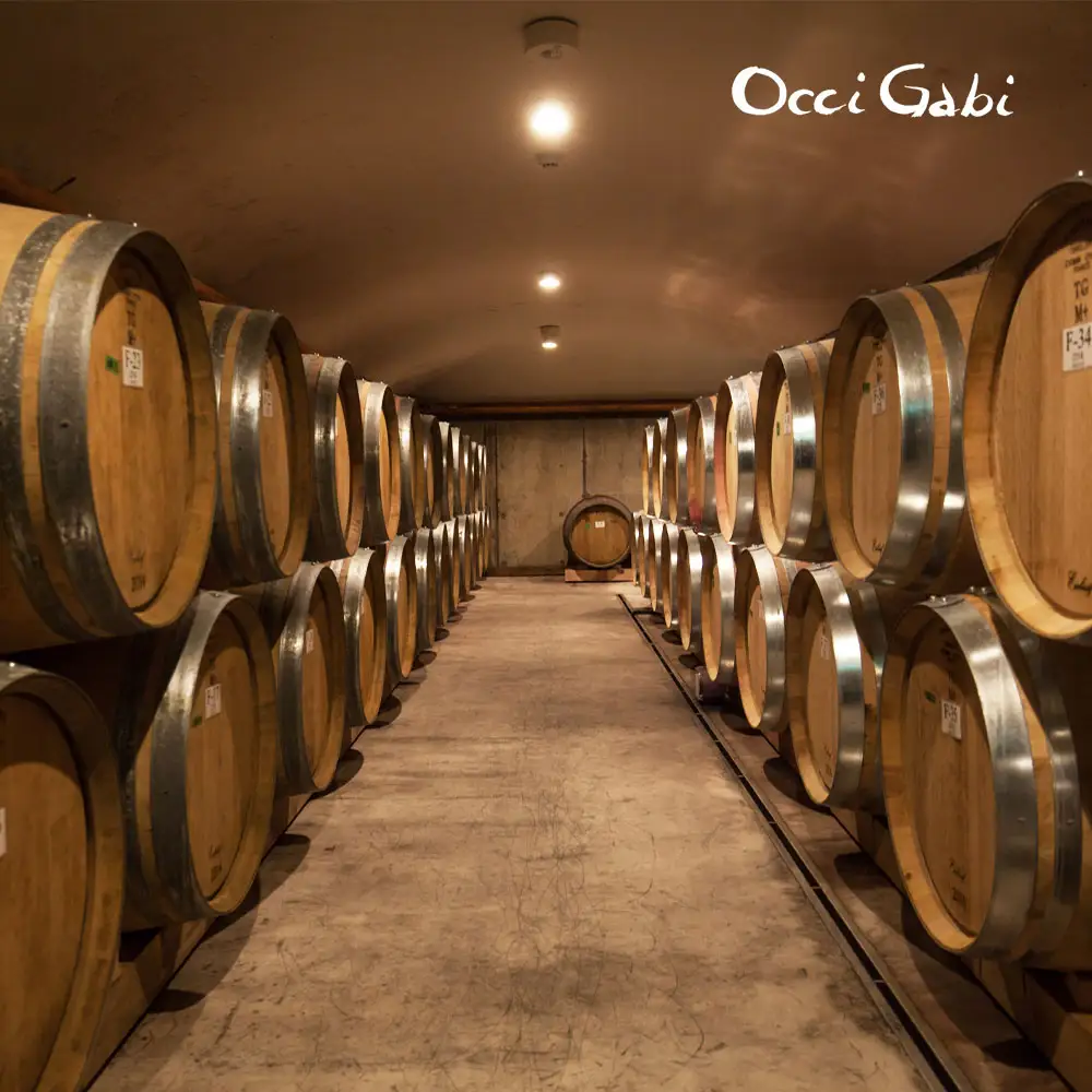 【OcciGabi Winery】ドルンフェルダー 【余市のワイン】 余市 北海道 赤ワイン ドルンフェンダーワイン 人気ワイン おすすめワイン 余市のワイン 北海道のワイン 日本のワイン 国産ワイン お酒 _Y012-0107