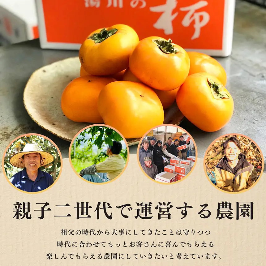 【 贈答用 富有柿 】 上田さんちの柿 12個 2L サイズ | フルーツ くだもの 果物 柿 かき カキ 奈良県 五條市 日本一の柿のまち 秋の味覚 特産品 果実 11月 12月 秋 旬 味覚 グルメ お取り寄せ 送料無料 大容量 農家直送 産地直送 ビタミン タンニン 食物繊維 豊富 美容 健康 上田農園 贈答 プレゼント ギフト
