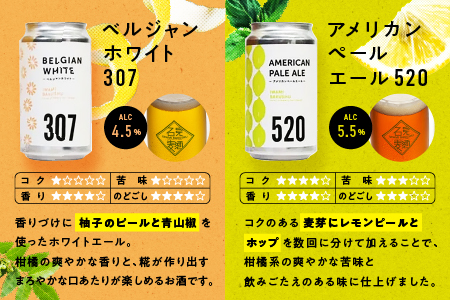【定期便3回】石見麦酒3種6本&まる姫ポークハム・ソーセージ2袋の詰合せ｜ビール 麦酒 クラフトビール ソーセージ ベーコン ハム ウインナー クラフトビール クラフトビール クラフトビール クラフトビール 定期便 3回 IB-8