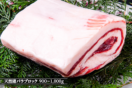 江の川shishi ブロックセット 計2.7kg～3kg 【AI-3】｜送料無料 国産 ジビエ 天然ジビエ お肉 肉 いのしし肉 イノシシ肉 猪肉 天然猪 モモ バラ ロース ブロック肉 ブロック ブロックセット セット スジ無し 煮込み用 角煮 焼肉 焼き肉 BBQ 冷凍 希少｜