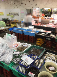 019-3　駿河湾のビックリ箱（プレミアム）