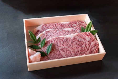 国産 和牛 ステーキ セット 約 1.8kg ( ヒレ 900g サーロイン 900g) 冷蔵 贅沢 厚切り 焼肉 バーベキュー ギフト お取り寄せ グルメ お中元 お歳暮 内祝 贈り物 贈答 お祝い 誕生日 プレゼント 母の日 父の日