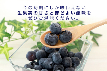 【数量限定・期間限定】 小美玉ブルーベリー 約800g（100g×8） 大粒 小分け 国産 茨城県産 冷蔵 朝採れ 朝どり 朝どれ 生果 ブルーベリー フルーツ 果物 くだもの とれたて 新鮮 ぶるーべりー 17-AG ＜6月下旬～7月中旬発送予定＞