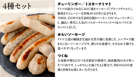 国産 豚 ソーセージ 職人が作る 無塩せき ソーセージ3種 と つくね セット