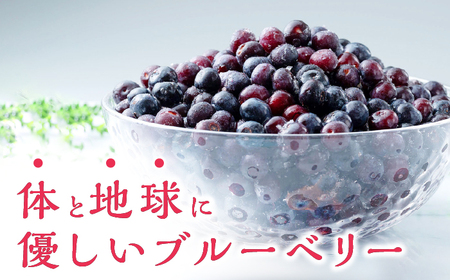 【先行予約】【全6回定期便】 大容量 対馬産 ブルーベリー （ 冷凍 ） 1.2kg [WBG003] 有機 旬 ブルーベリー フルーツ 