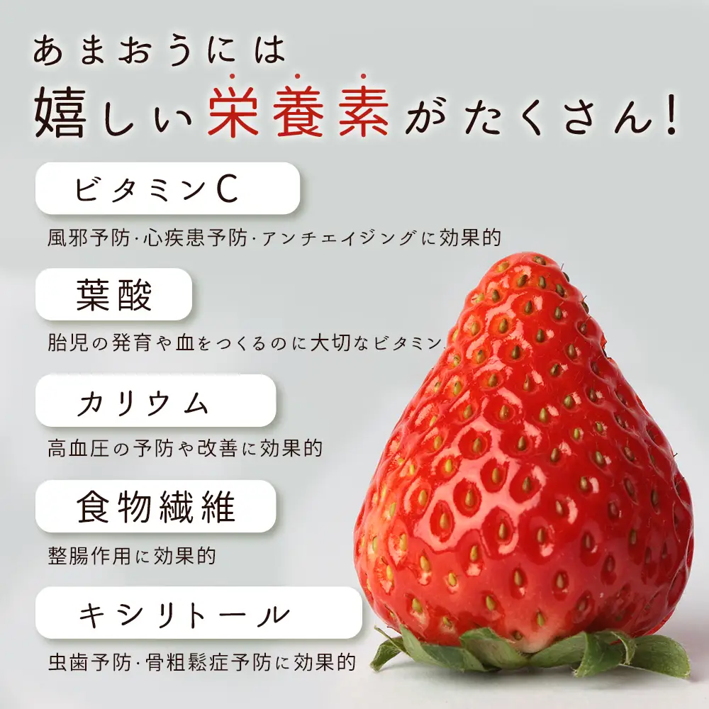 【先行予約／2027年出荷】福岡県産 あまおう 約250-270g × 4パック ふるさと納税 あまおう いちご イチゴ 苺 高級 デザート 果物 くだもの フルーツ ジャム にも ケーキ にも 先行予約 数量限定 送料無料 ふるさと ランキング 人気 おすすめ 福岡 赤村 3W12