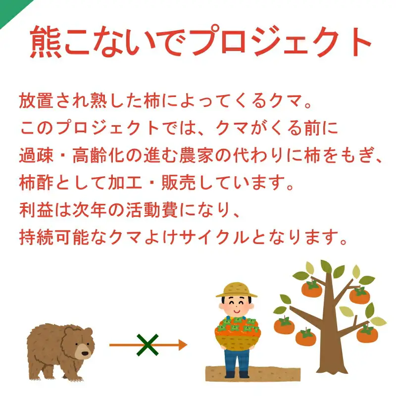 柿100% 放ったら柿酢「鈴」 300ml×2本 PA092_001