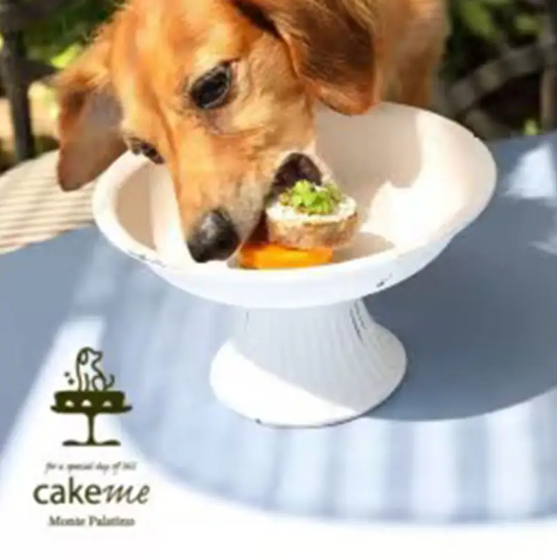 ペットフード(犬のおやつ)　人参とヨーグルトクリームのタルト　5個入り【ペットフード ペット 動物 犬 餌 エサ 小型犬 愛犬 愛犬家 愛犬用 スイーツ タルト おやつ 犬用 ペット用 ご褒美 福岡県 筑前町 ふるさと納税 送料無料 CH003】