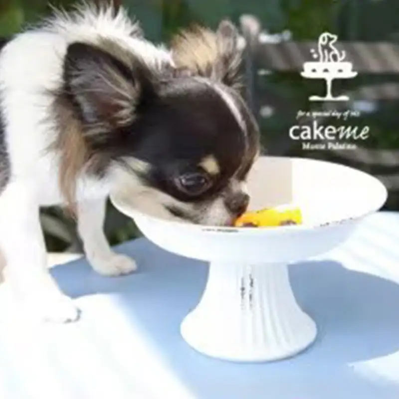 職人のたい焼き4種類詰合せ＜ペットフード＞【ペットフード ペット 動物 犬 餌 エサ 小型犬 愛犬 愛犬家 愛犬用 おやつ デザート 手作り 個包装 健康 おやつ 犬用 ペット用 ご褒美 福岡県 筑前町 ふるさと納税 冷凍 送料無料 CH017】