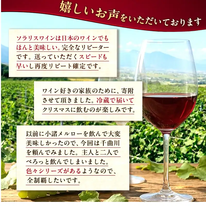 父の日 ワイン 信州ワイン 赤 ソラリス 千曲川 カベルネ・ソーヴィニヨン 750ml×1本 赤ワイン お酒 ぶどう酒 タンニン 完熟した香り 果実味 スパイシー 晩酌 おうちディナー 飲み物 家飲み 宅飲み