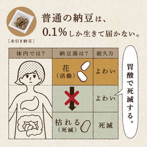 【定期便4回/1カ月毎】粉なっとう（パウダー）180g