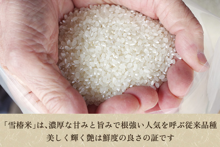 【令和7年産】新潟産コシヒカリ「雪椿米」特別栽培米 精米10kg （5kg×2袋） 白米真空パック