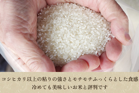 【令和7年産】【精米】加茂産ミルキークイーン「ミルキー米」真空パック 5kg ミルキークイーン 新潟県産ミルキークイーン 米 お米 ミルキークイーン ミルキークイーン ミルキークイーン ミルキークイーン ミルキークイーン
