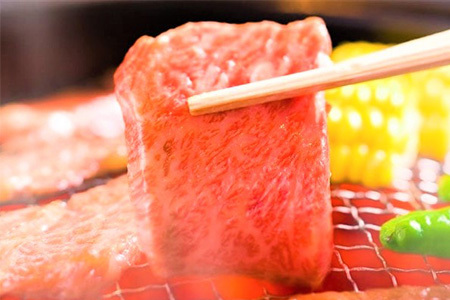 訳あり！艶さし！【A4～A5】佐賀牛焼肉切り落とし 500g BBQ バーベキュー 焼き肉 お肉 牛肉 アウトドア