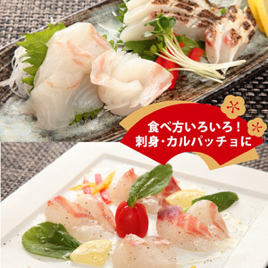 真鯛 昆布 締め 約60g×8パック スライス済み 皮目湯引き済み 真鯛
