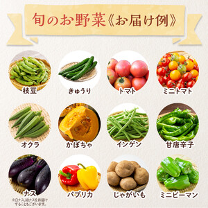 【2026年発送分先行予約】みうら農園 季節の野菜セット（夏野菜）【2026年6月中旬以降順次】