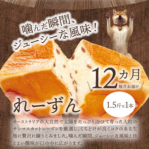 【定期便】お手やわらかに1.5斤1本＆れーずん1.5斤1本/12ヵ月　定期便 12回 食パン 食べ比べ パン プレーン レーズン セット DJ-T003